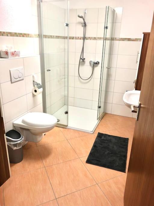 Schoene Ferienwohnung Direkt Am Neckar Deisslingen Екстер'єр фото
